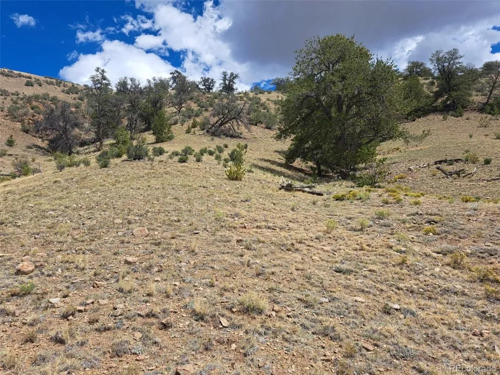 2994 Vista Grande Court Como, CO 80432