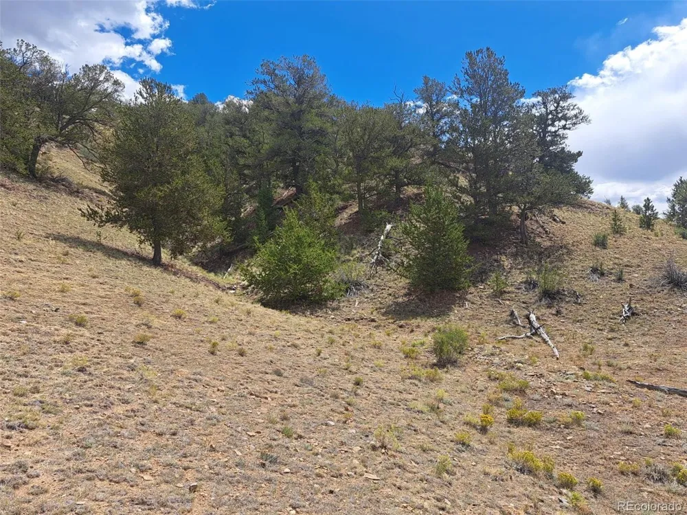 2994 Vista Grande Court Como, CO 80432