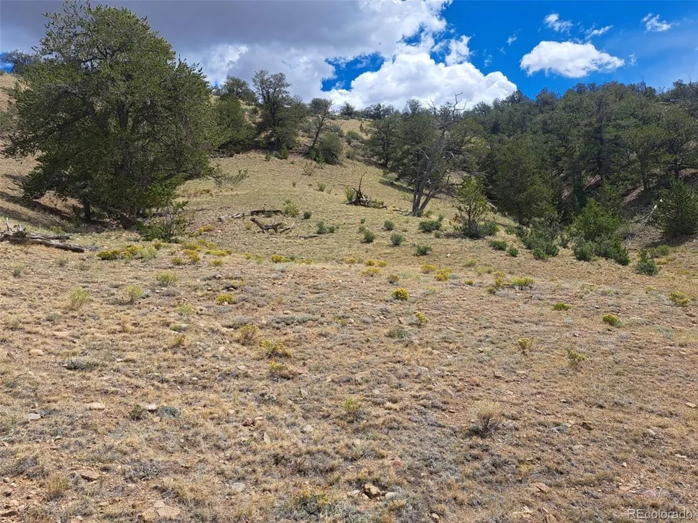 2994 Vista Grande Court Como, CO 80432