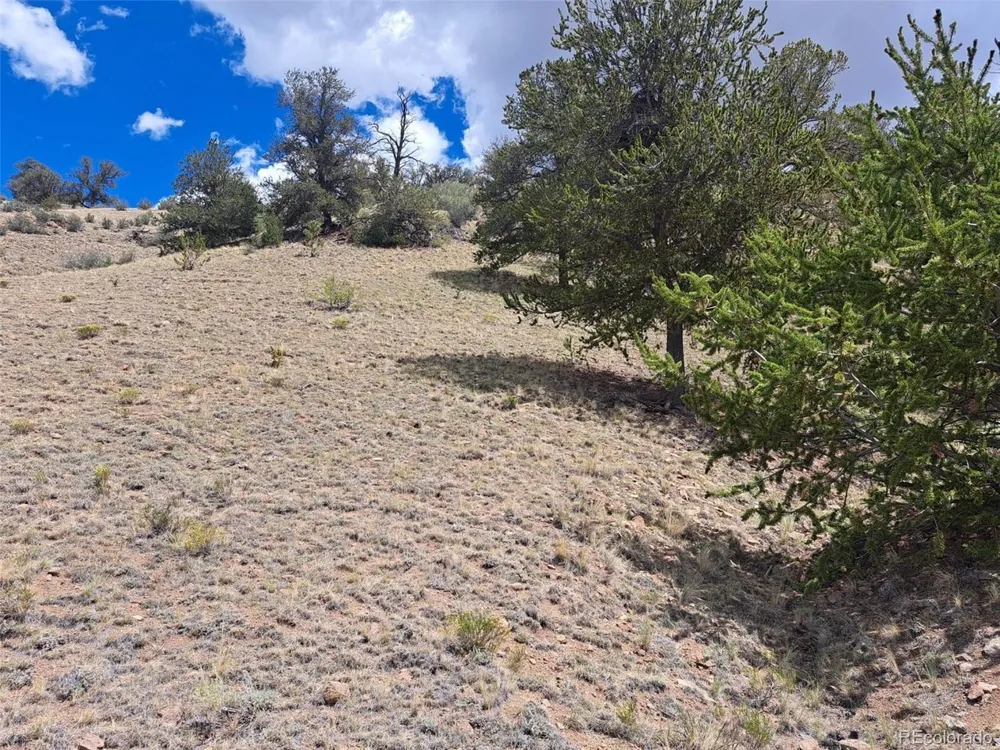 2994 Vista Grande Court Como, CO 80432
