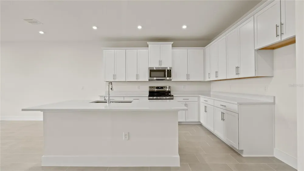 30273 RUSTIC MILL STREET Mount Dora, FL 32757
