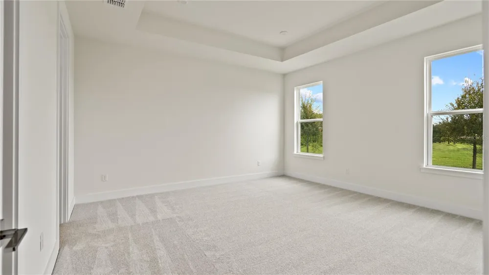 30273 RUSTIC MILL STREET Mount Dora, FL 32757
