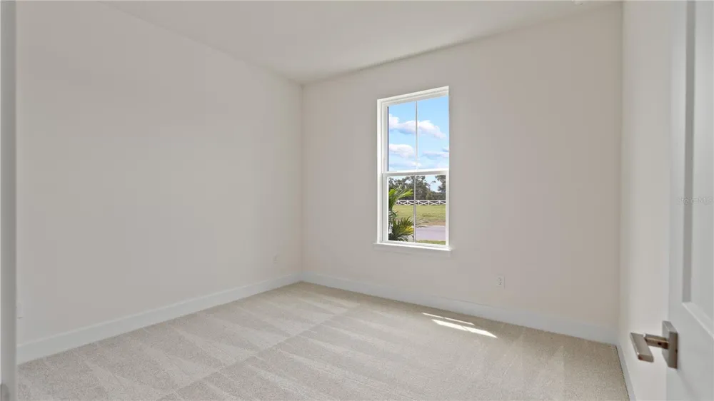 30273 RUSTIC MILL STREET Mount Dora, FL 32757