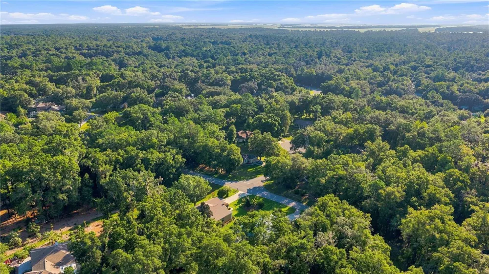 10062 SW 190TH COURT Dunnellon, FL 34432