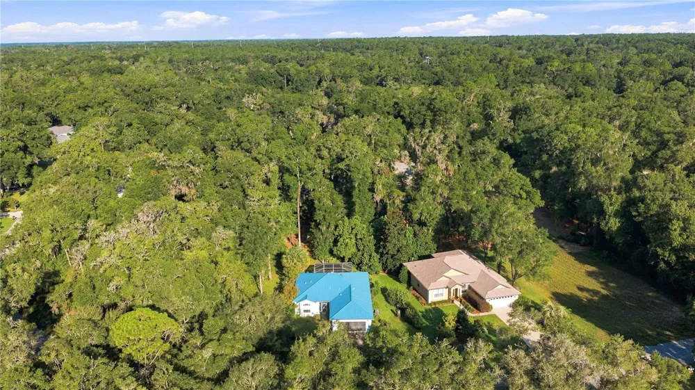 10062 SW 190TH COURT Dunnellon, FL 34432