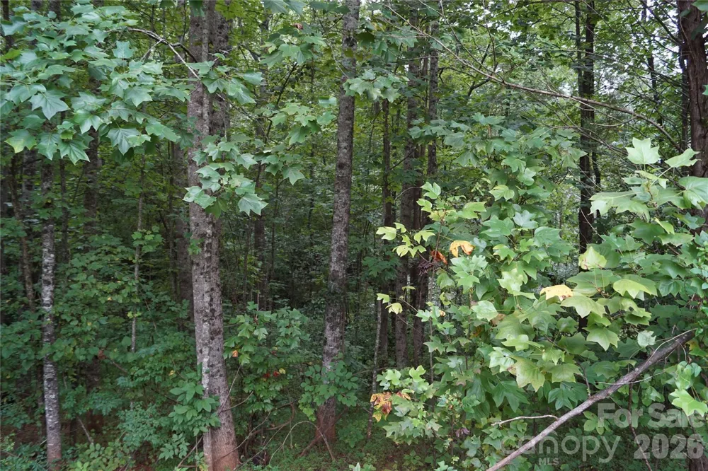 1139 Mckay Road Newton, NC 28658