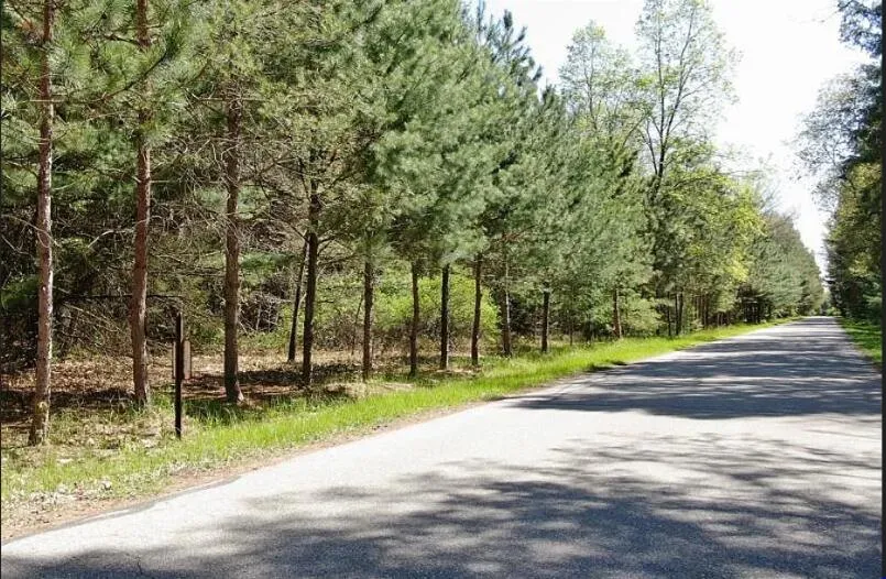 9101 Forest Pines Drive Mecosta, MI 49332
