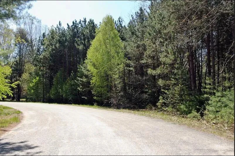 9101 Forest Pines Drive Mecosta, MI 49332