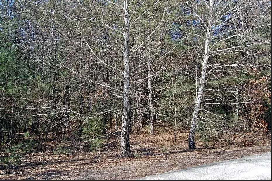 9101 Forest Pines Drive Mecosta, MI 49332