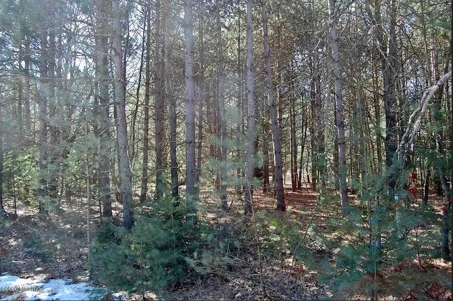 9101 Forest Pines Drive Mecosta, MI 49332