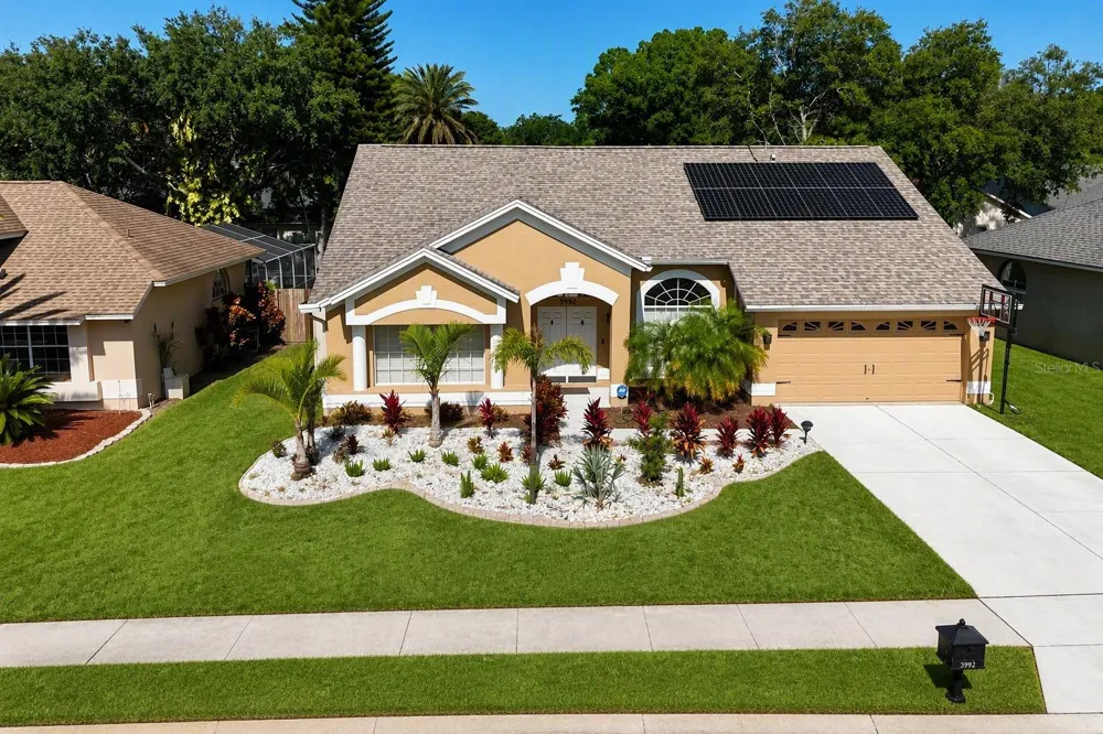 3992 JENITA DR Palm Harbor, FL 34685