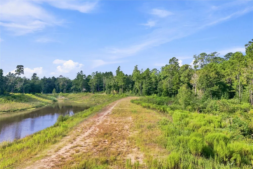 7346 Magnolia Hollow Drive Montgomery, TX 77316