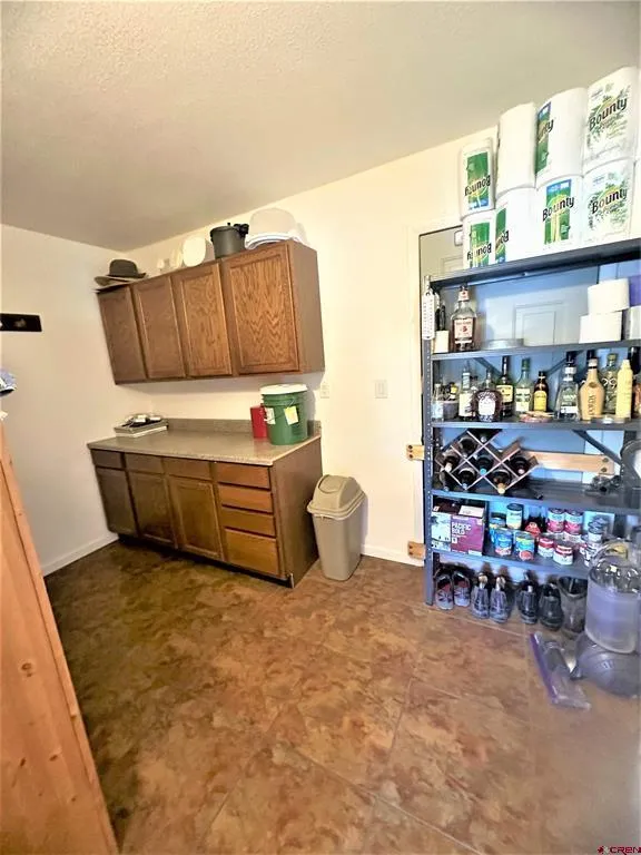538 County Rd 63 South Fork, CO 81154