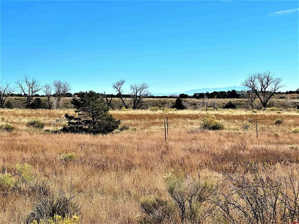538 County Rd 63 South Fork, CO 81154