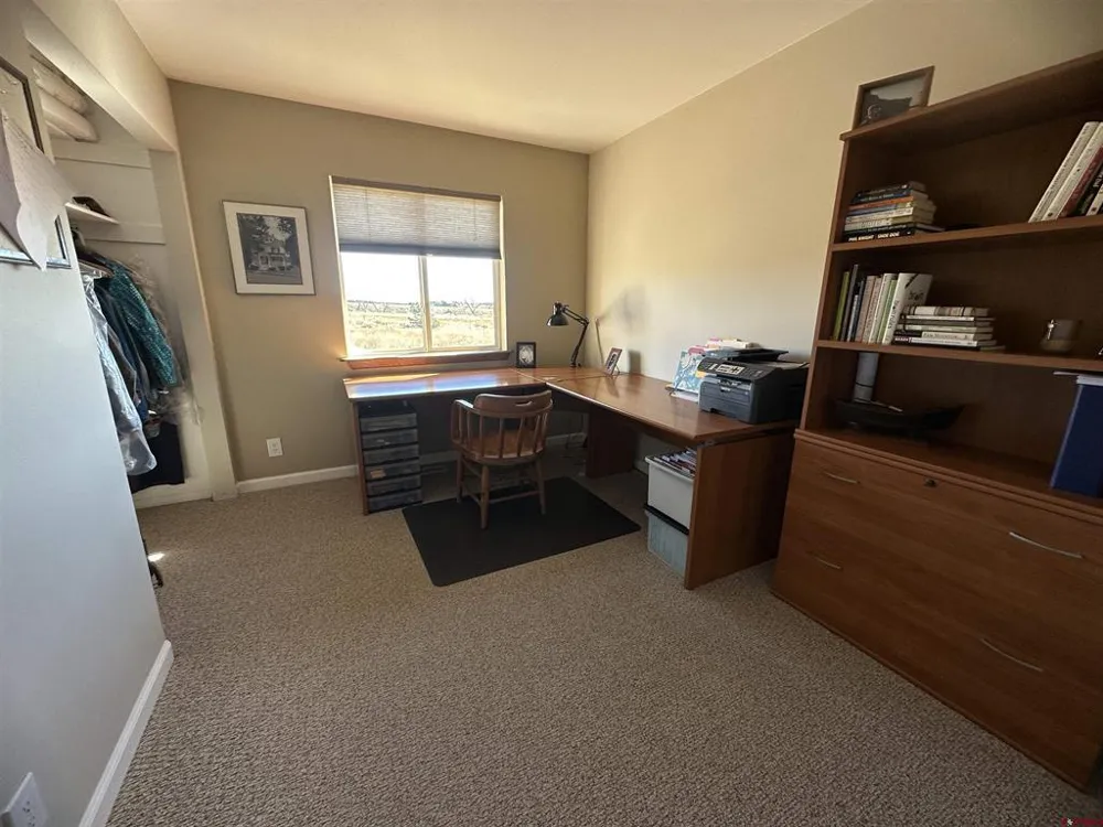 538 County Rd 63 South Fork, CO 81154
