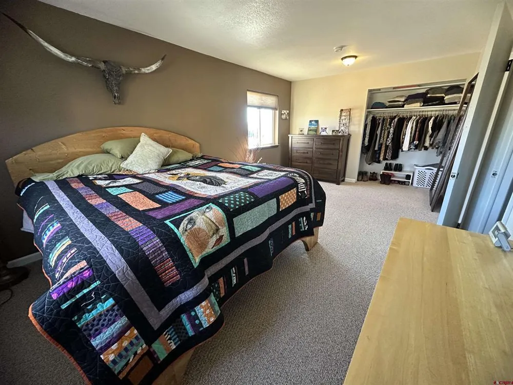 538 County Rd 63 South Fork, CO 81154