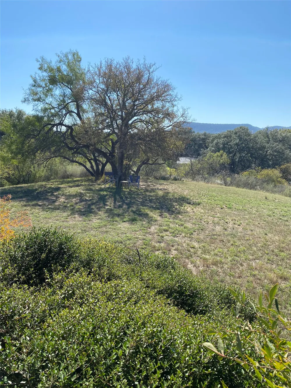 209 Crest Drive Kingsland, TX 78639