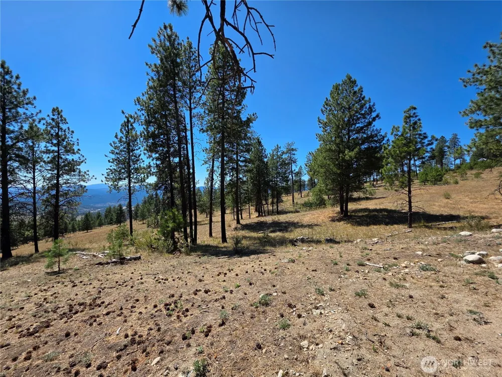 147 W High Country Drive Tonasket, WA 98855