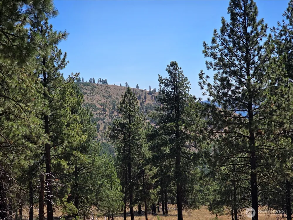 147 W High Country Drive Tonasket, WA 98855