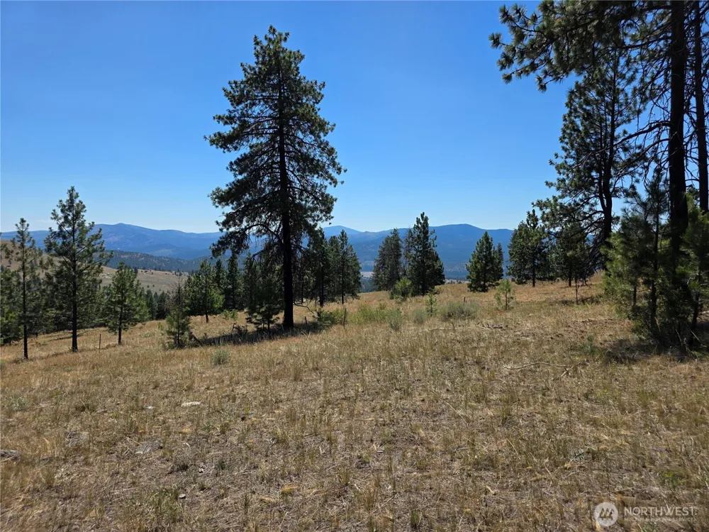 147 W High Country Drive Tonasket, WA 98855