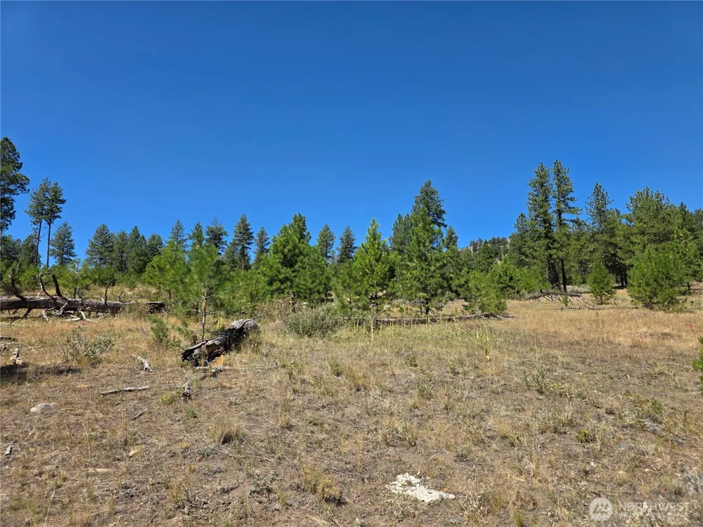 147 W High Country Drive Tonasket, WA 98855