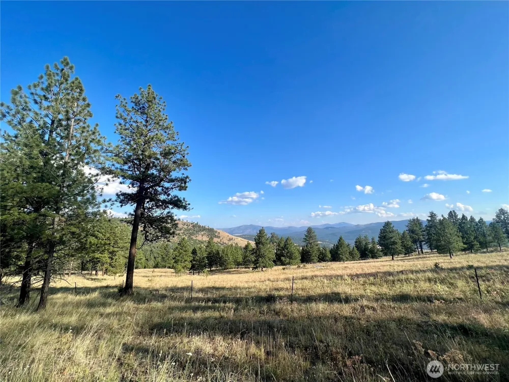 147 W High Country Drive Tonasket, WA 98855