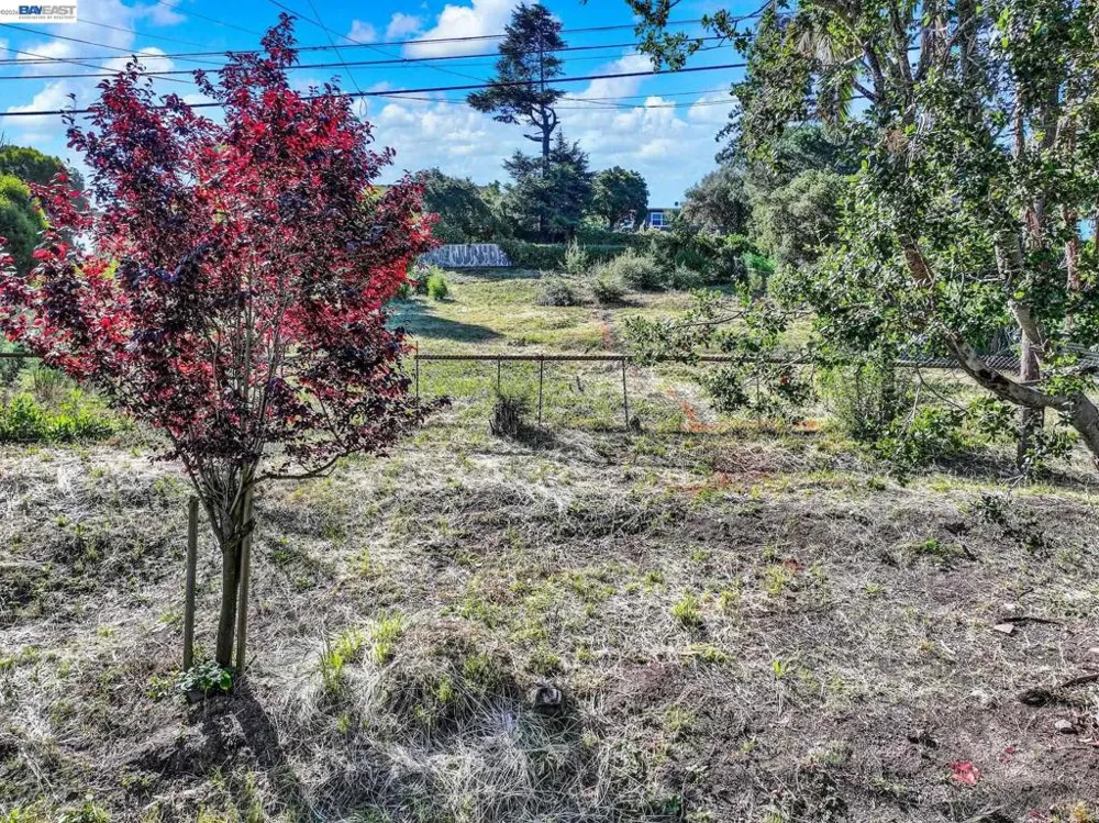 3150 Courtland Oakland, CA 94619
