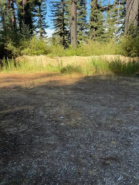 12135 Alba Road Ben Lomond, CA 95005