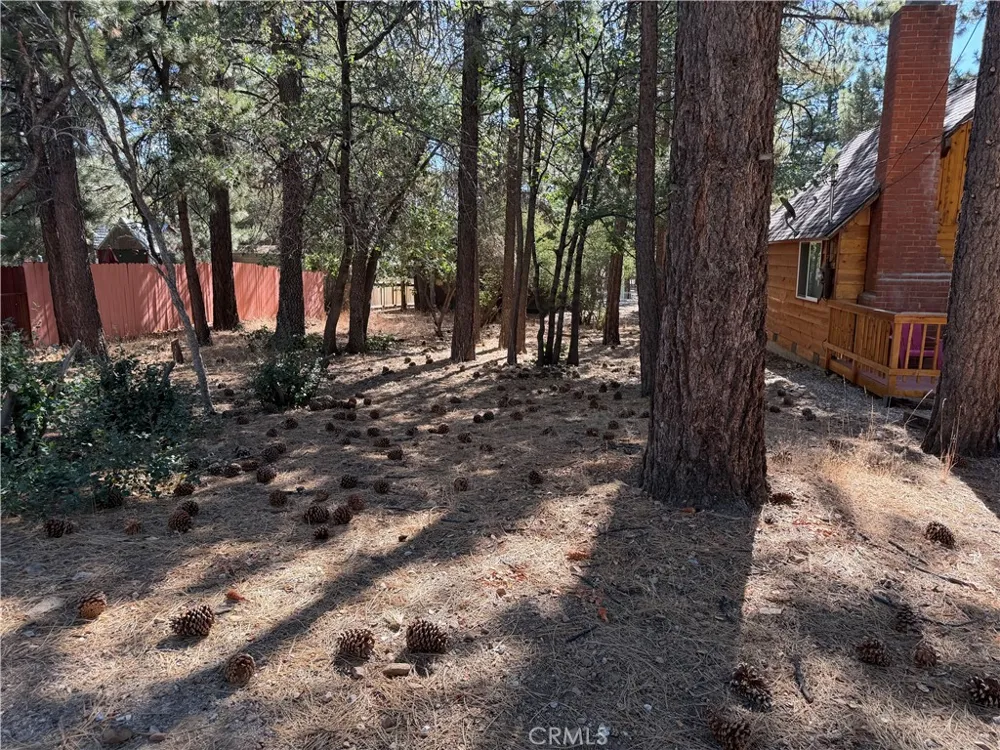 Moreno Sugarloaf, CA 92386