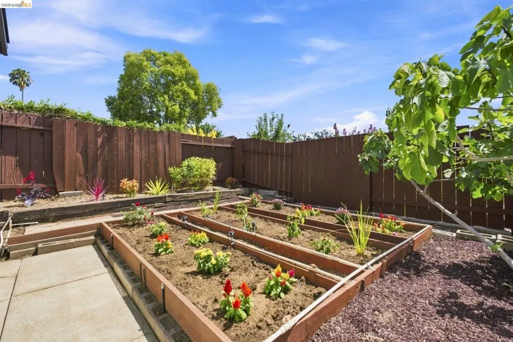 509 Junipero St Pleasanton, CA 94566