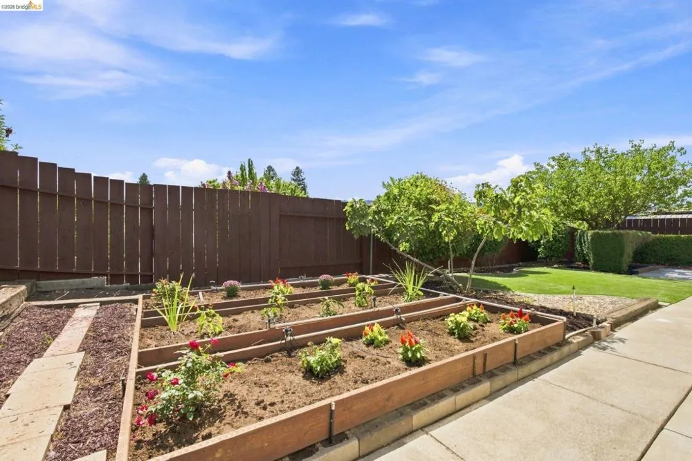 509 Junipero St Pleasanton, CA 94566