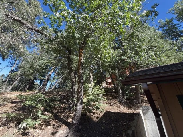 33519 Falling Leaf Drive Green Valley Lake, CA 92341
