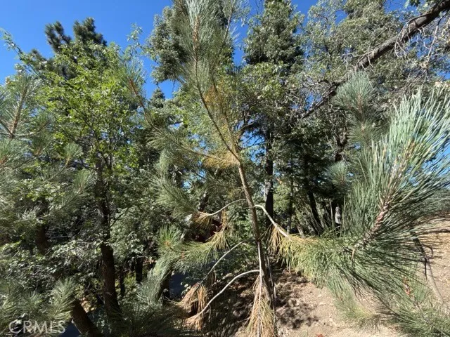33519 Falling Leaf Drive Green Valley Lake, CA 92341