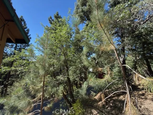 33519 Falling Leaf Drive Green Valley Lake, CA 92341