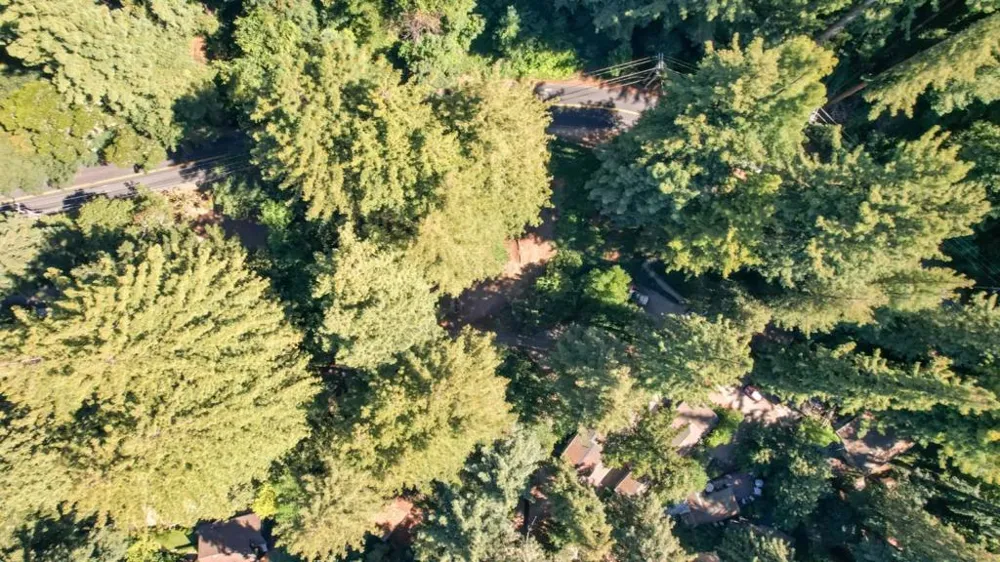 15475 Big Basin Way Boulder Creek, CA 95006