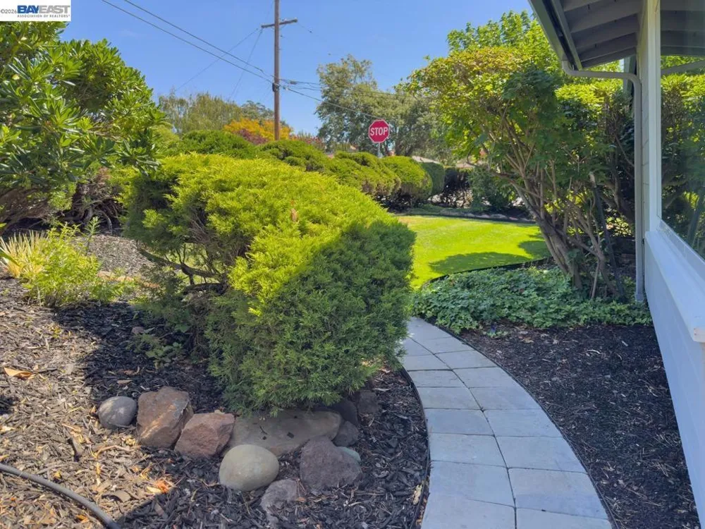 3255 Sweet Dr Lafayette, CA 94549