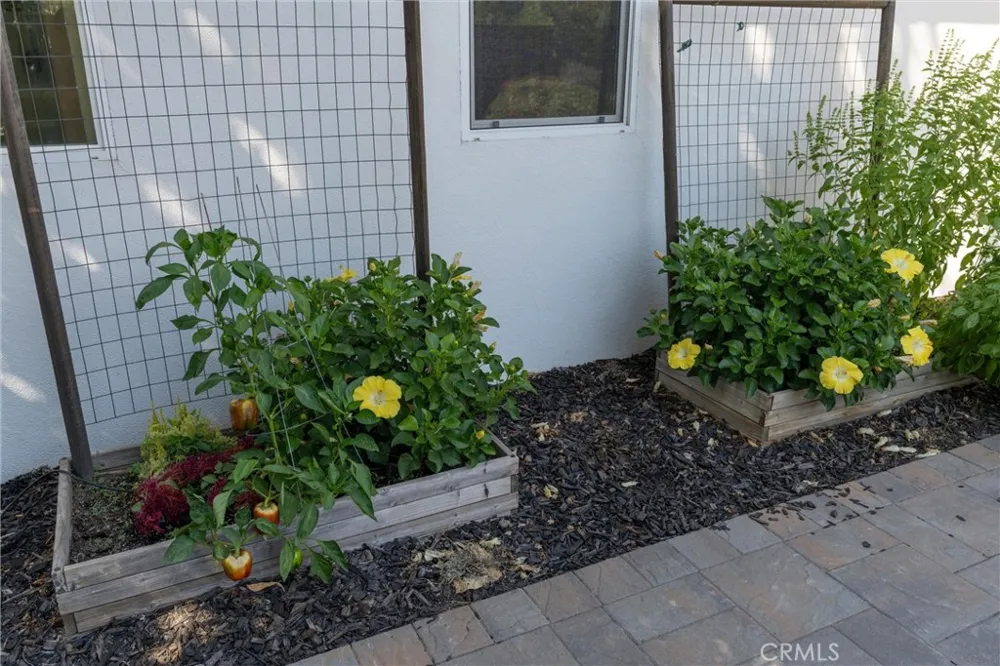 1941 Waxwing Way Chico, CA 95926