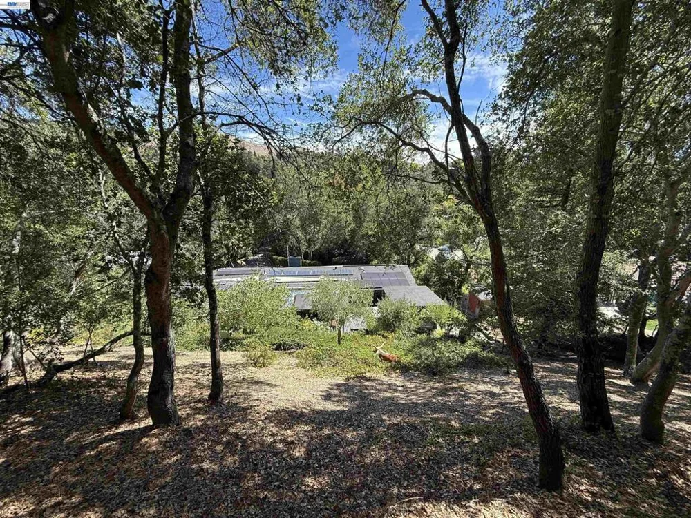 516 Moraga Way Orinda, CA 94563