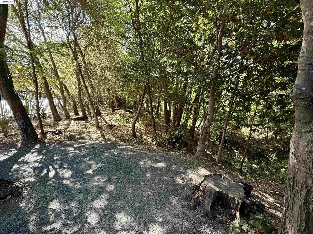 516 Moraga Way Orinda, CA 94563