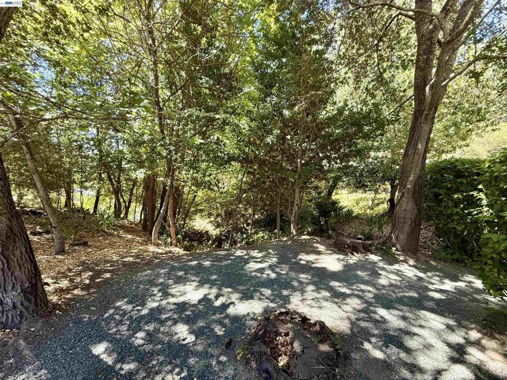 516 Moraga Way Orinda, CA 94563