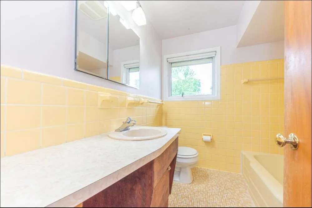 1511 Catalina Drive Ann Arbor City, MI 48103