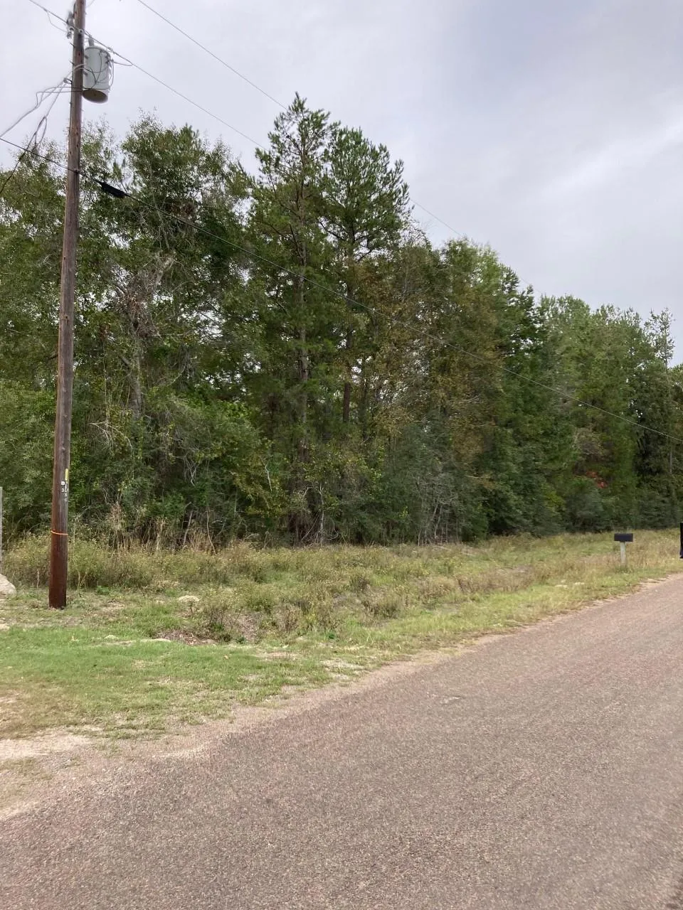 16596 Camelia Lane Plantersville, TX 77363