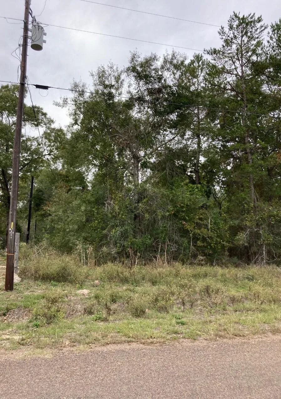 16596 Camelia Lane Plantersville, TX 77363