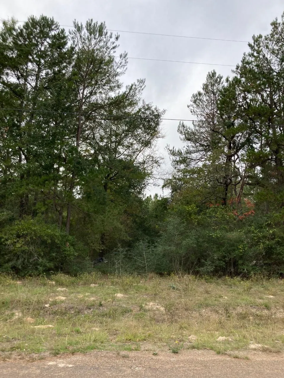 16596 Camelia Lane Plantersville, TX 77363