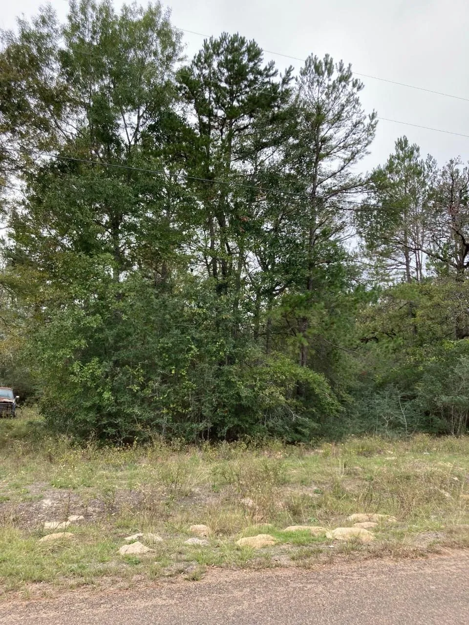 16596 Camelia Lane Plantersville, TX 77363