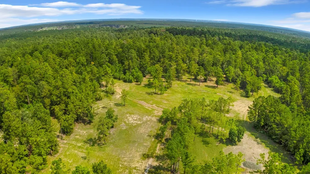 2231 Cr 3550 Woodville, TX 75979