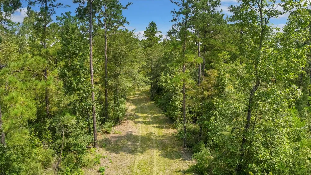 2231 Cr 3550 Woodville, TX 75979
