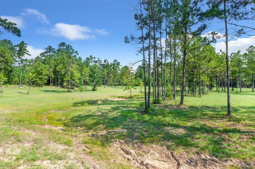2231 Cr 3550 Woodville, TX 75979