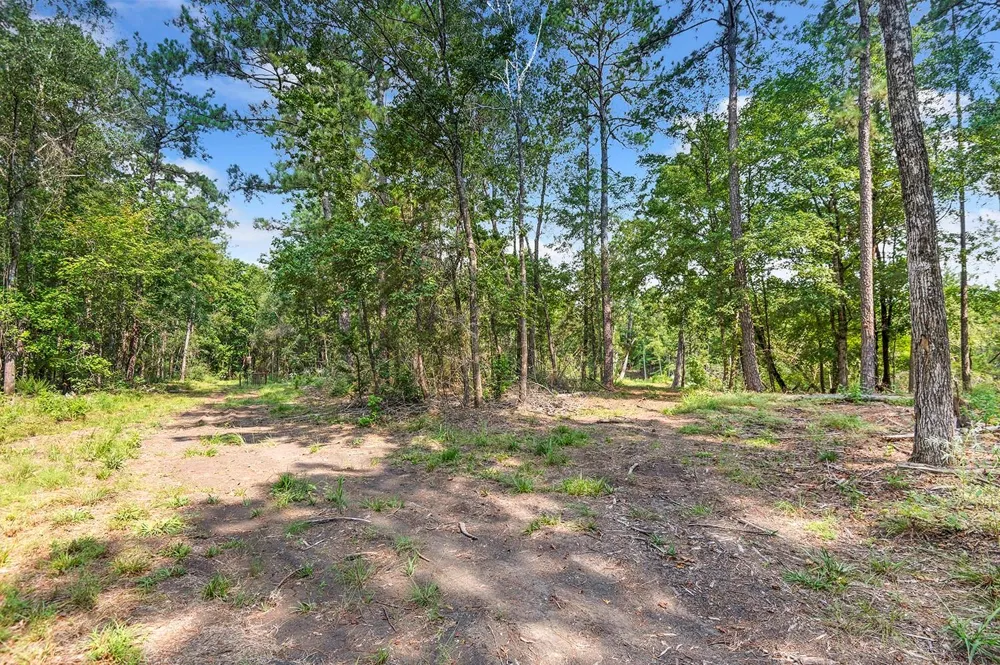 2231 Cr 3550 Woodville, TX 75979