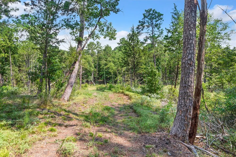 2231 Cr 3550 Woodville, TX 75979